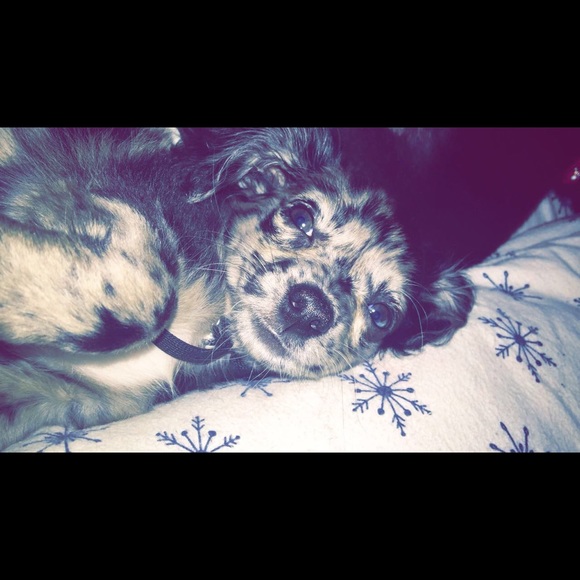wildelizabeth